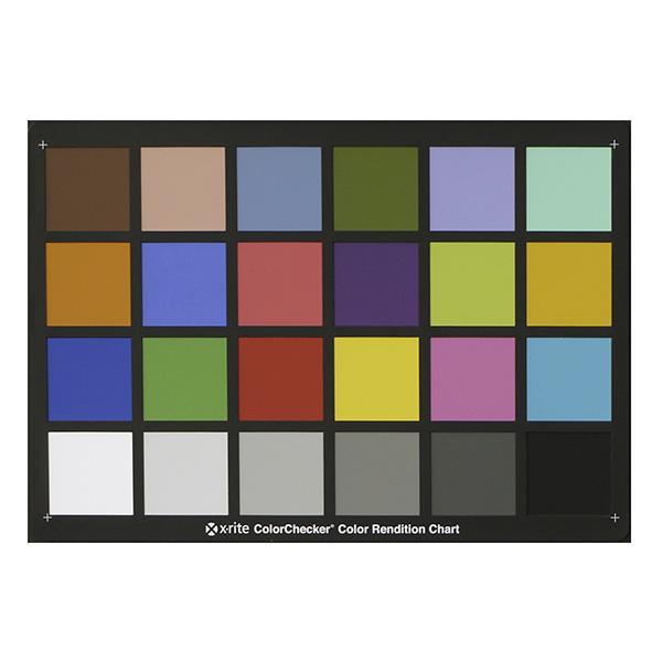 X-Rite Carta ColorChecker A4, Gris + 24 Colores