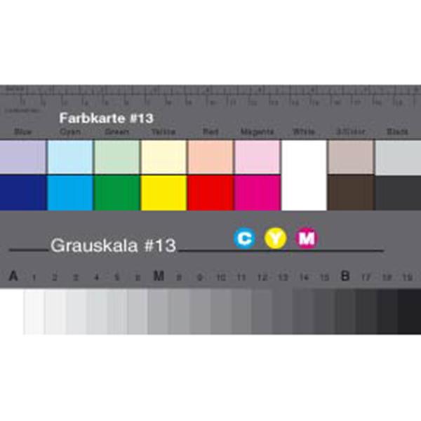 Danes Picta Cuña Pequeña Gris + Separación de Colores BS13